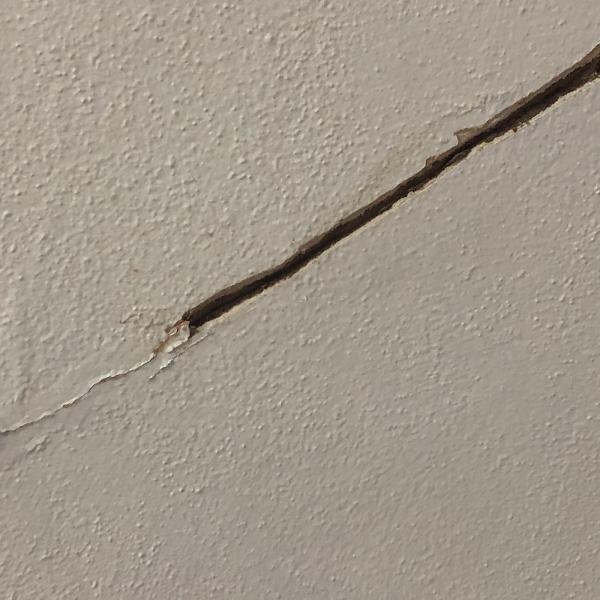 The Spackle Guys LLC