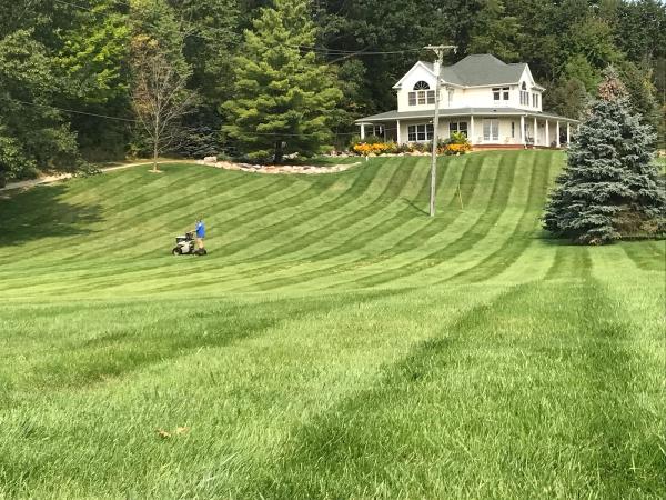 Visionary Fertilization