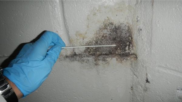 Paterson Pro Inspections