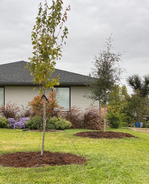 Everbloom Landscaping LLC