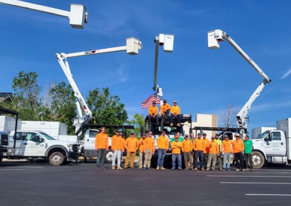 Bear Creek Tree Service