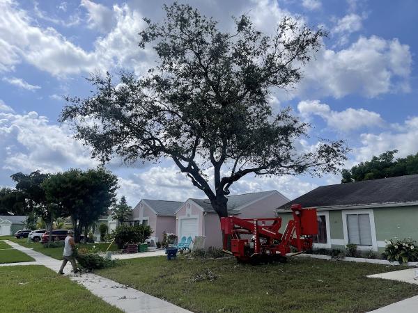 Viking Landscape Services Inc.