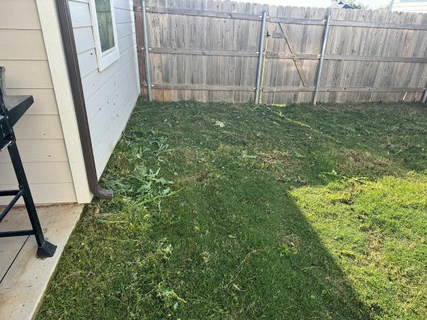Just Right Lawns
