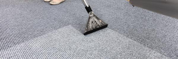 Access Carpet Cleaning LLC
