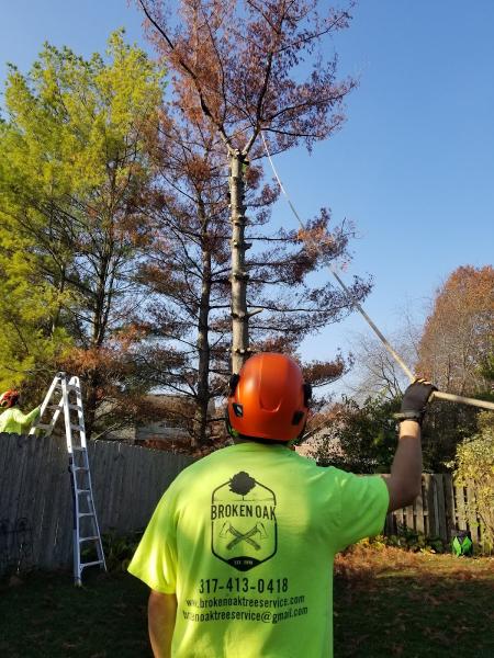 Broken Oak Tree Service LLC
