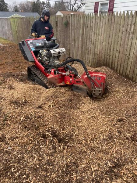 Letts Trim Tree Service and Property Management LLC