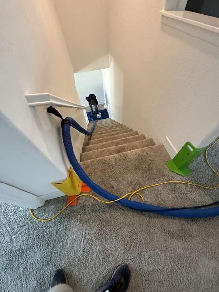 Complete Carpet & Tile Cleaning