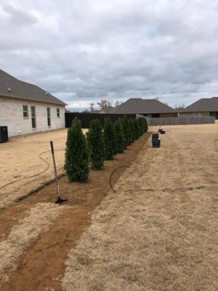 New Bern Landscaping & Hardscaping