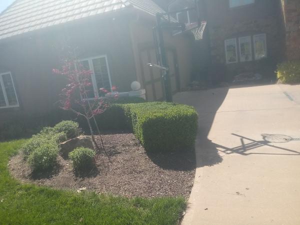 Geno Gs Outside Services