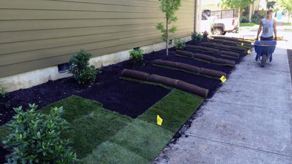 Earthborn Landscape Services