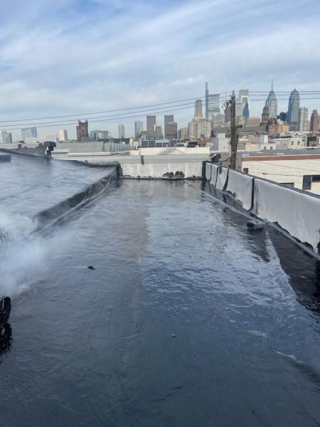 Philly's Phinest Roofing