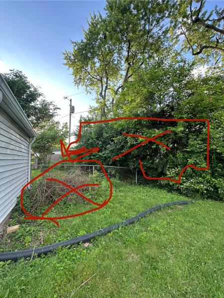 Certified Tree Services
