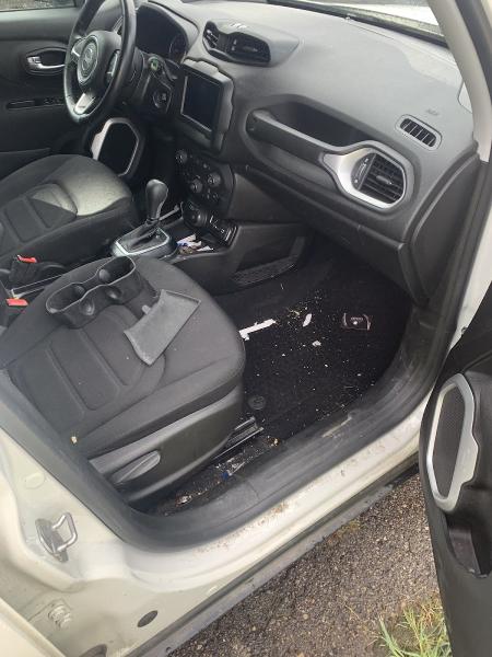 Without A Mark Mobile Detailing & Cleaning Services Llc.