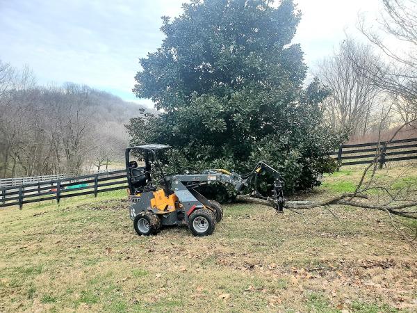 Tree Solutions