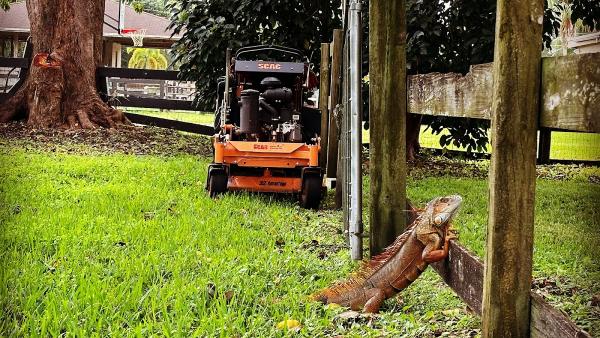 Everglades Lawn and Landscaping