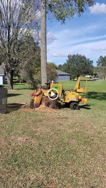 Gainesville Stump Grinding