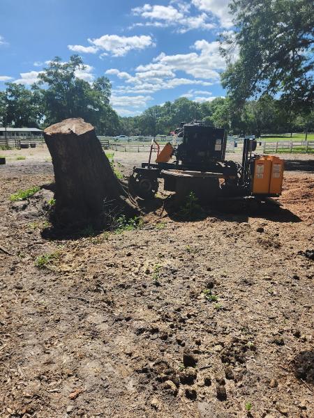 Gainesville Stump Grinding