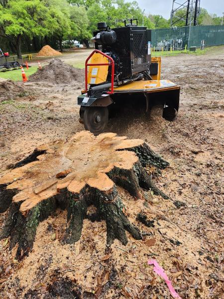 Gainesville Stump Grinding