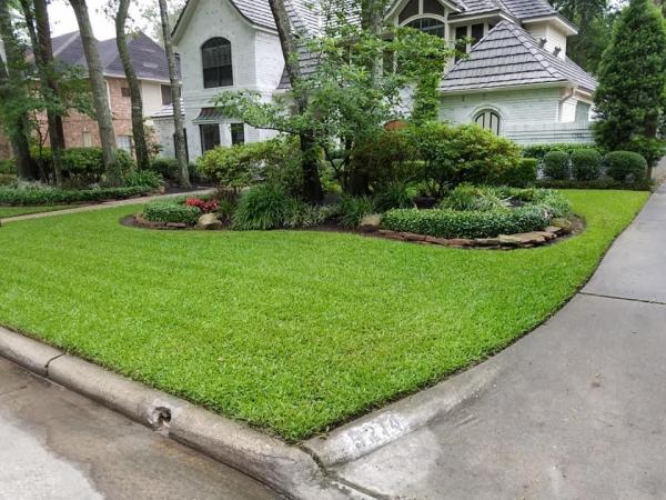 Lawn Care Spring Service