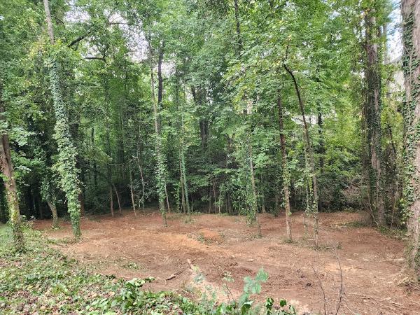 Turman Lawn Care and Tree Service