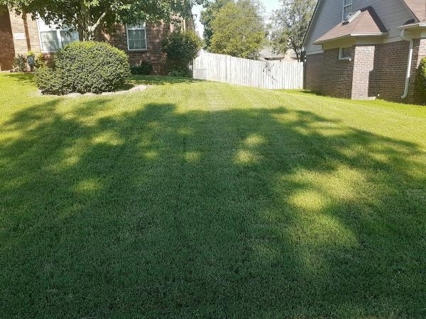 Safari Lawn Care