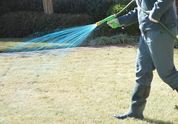Safari Lawn Care