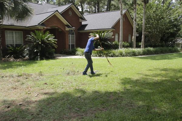 Big Bend Tree Service LLC