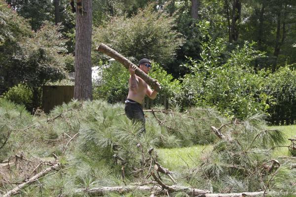 Big Bend Tree Service LLC