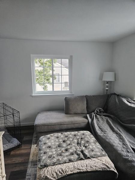 Ecoview Windows
