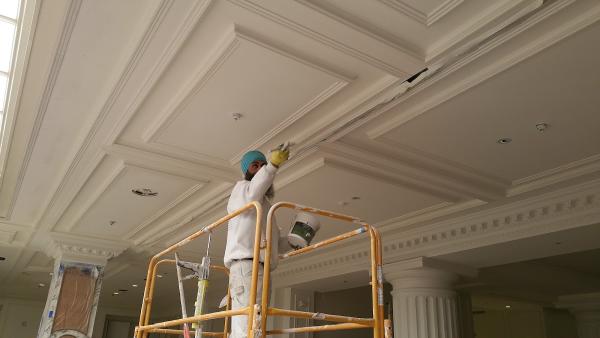 Color Divine Painting Inc.