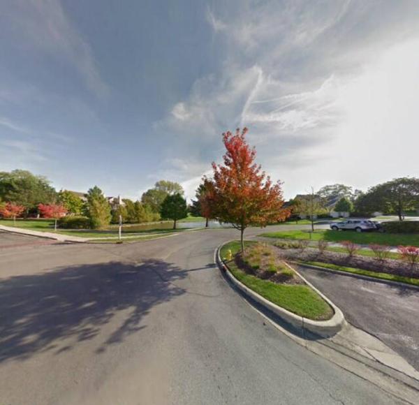 Crystal Tree Service Orland Park