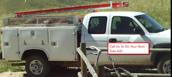 Crystal Tree Service Orland Park