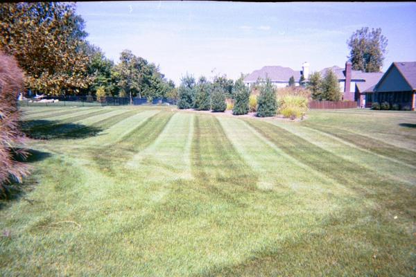 Kolb Lawn Service