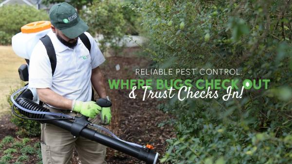 Remedy Pest Control