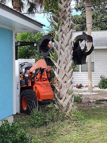 Action Tree Services