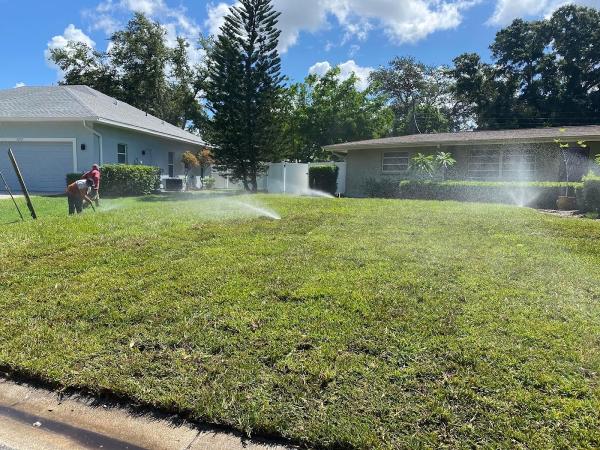 De Jesus Tree and Landscape Service