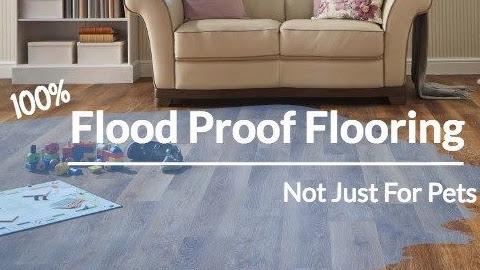 Pet Floors