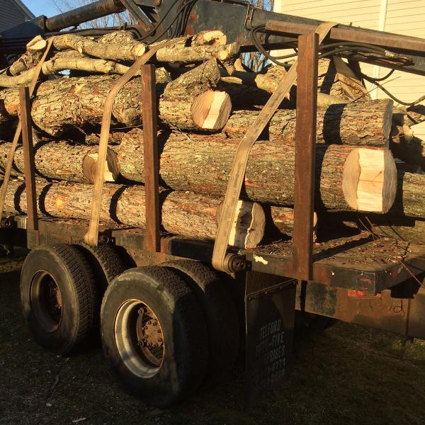 FX Tree Service