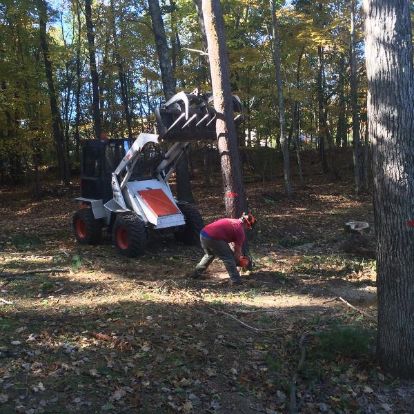 FX Tree Service