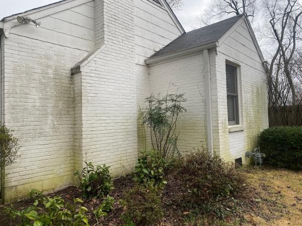 The Pressure Washing Dude