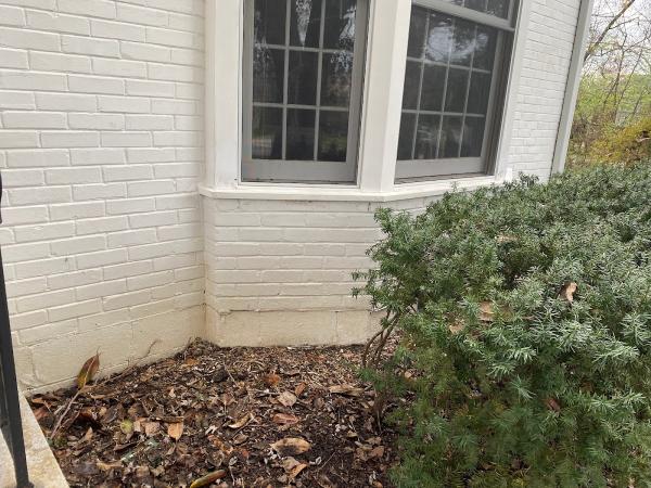 The Pressure Washing Dude