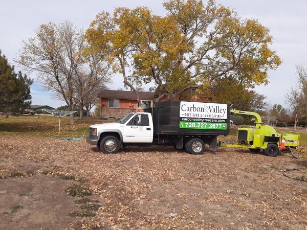 Carbon Valley Tree and Landscape Llc