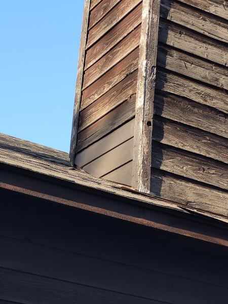 Dogtown Home Repair & Renovation