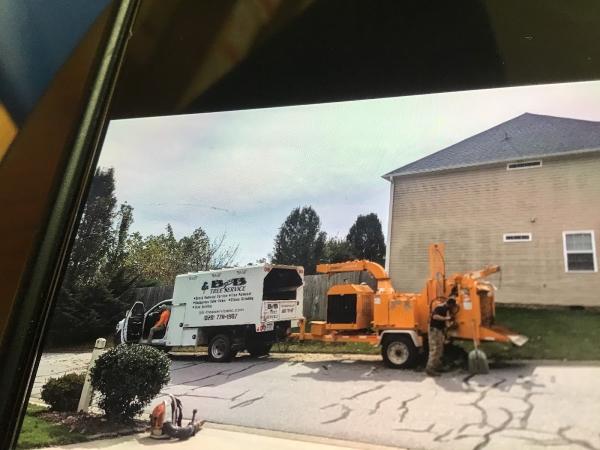 B&B Tree Service Inc