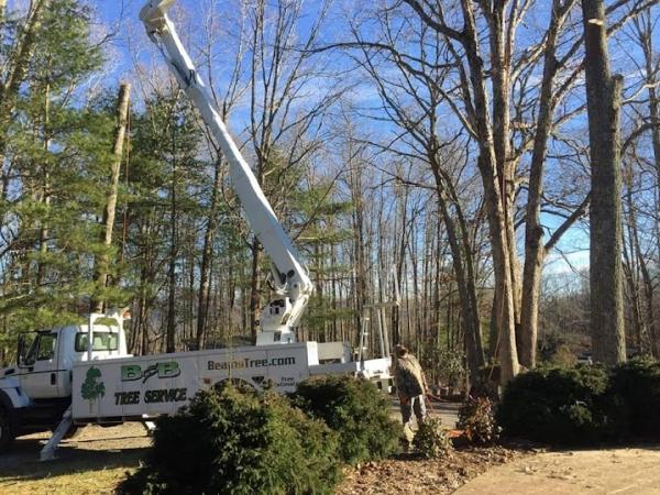 B&B Tree Service Inc
