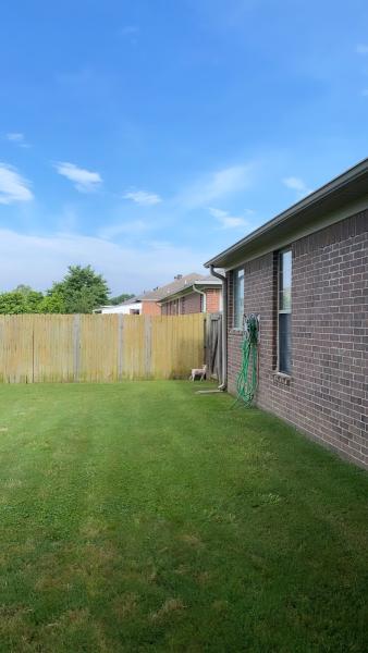 Affordable Lawn Care