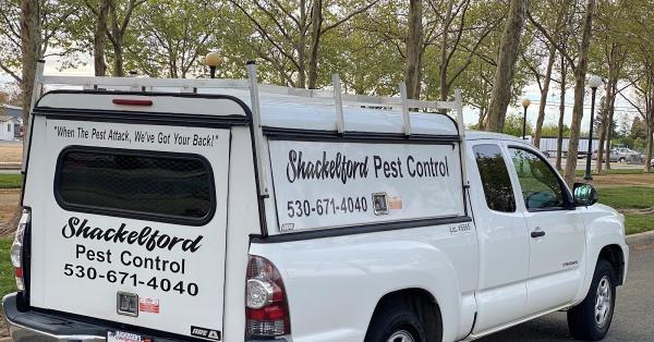 Shackelford Pest Control