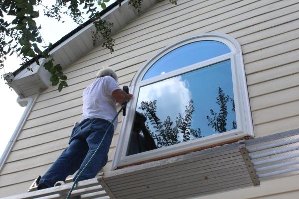 Windows From Warriors