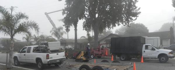 A and J Tree Service