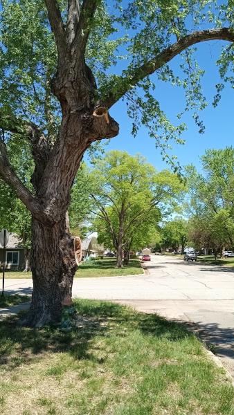 Sunnybrook Landscape & Lawn Care